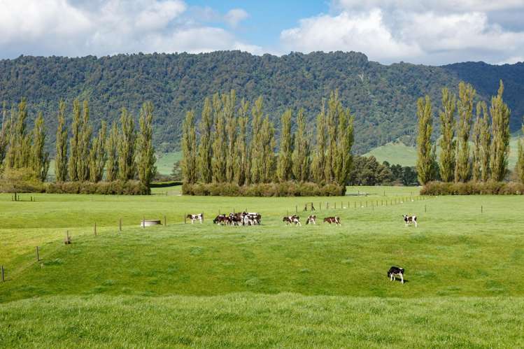 72 and 82 Harding Road Matamata_14