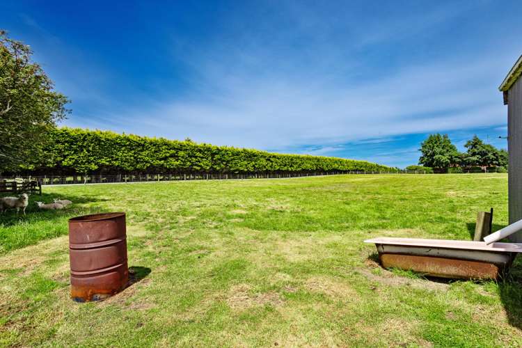 373 Bainfield Road Waihopai_30