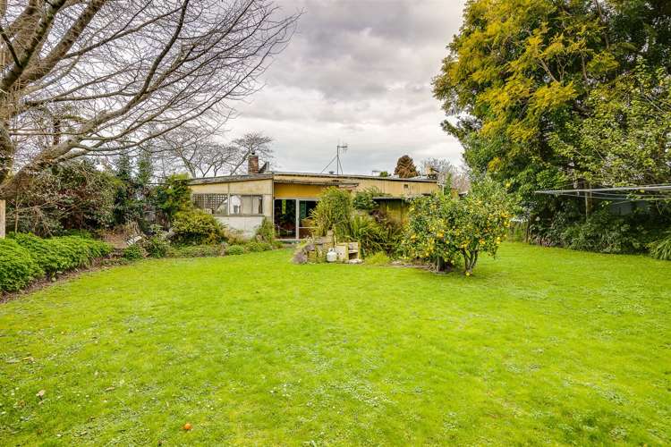 77 Murphy Road Taradale_2