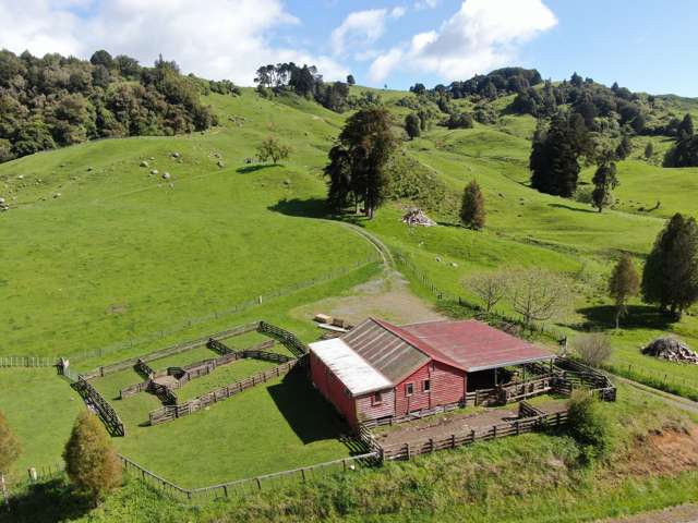 Lot (Rural)/1246 State Highway 3 Piopio_3