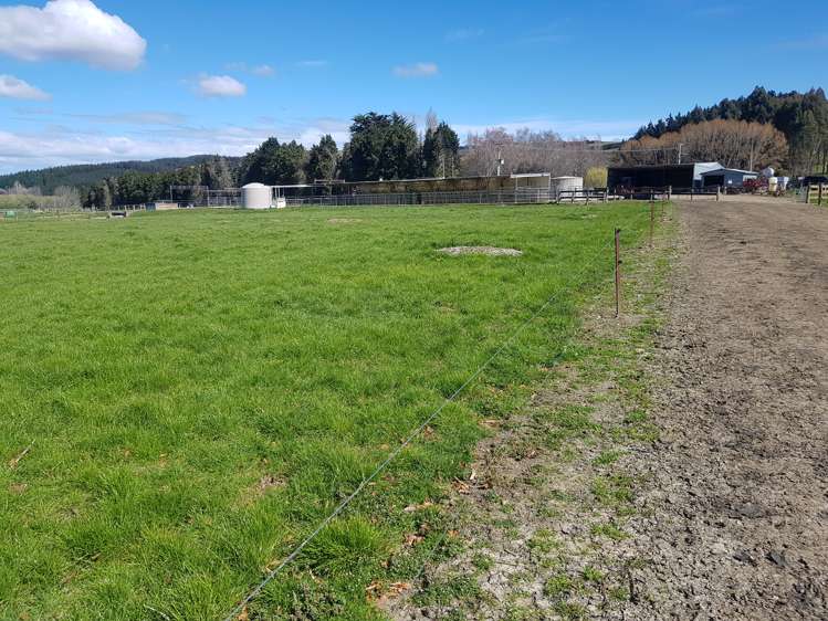 213 Toko Mouth Road Milton_8