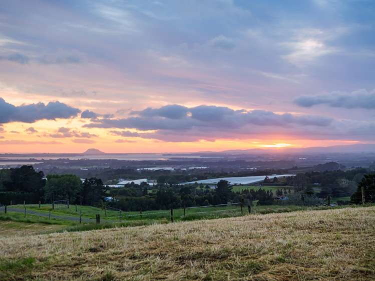 348D Rea Road Katikati_38