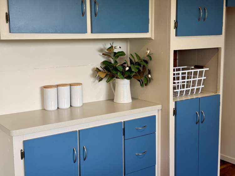 40 Thurso Street Waverley_6