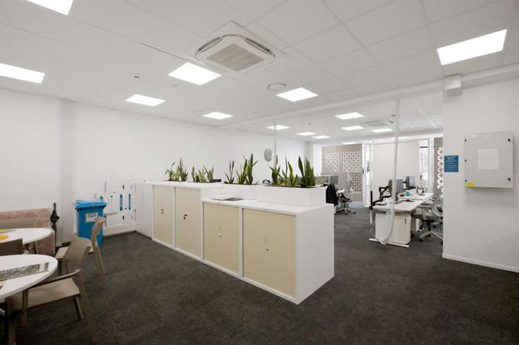 41 Elizabeth Street Tauranga Central_7
