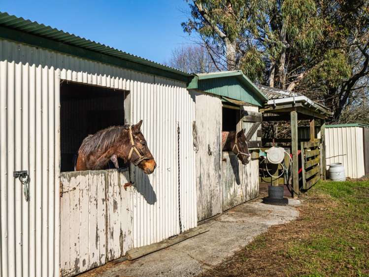 108 Wairoa Road Wairoa_25