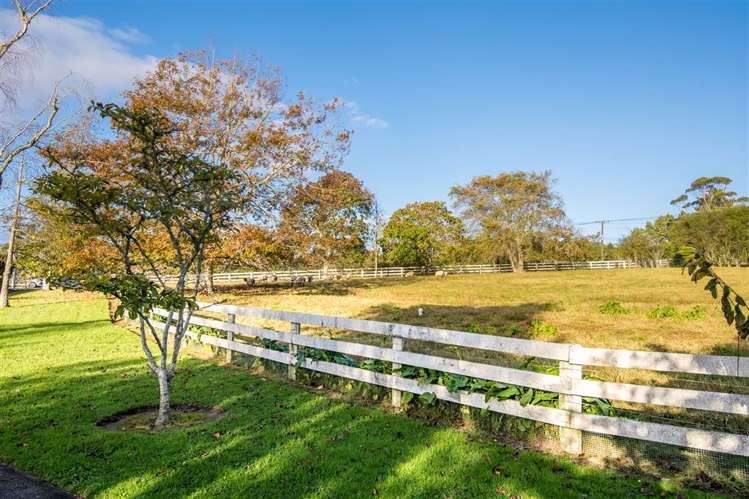 58 Glenmore Road Coatesville_7