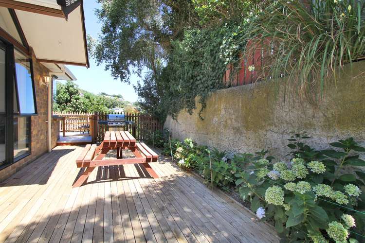 48 Tio Tio Road Miramar_17