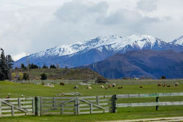 182 Stevenson Road Wanaka_3