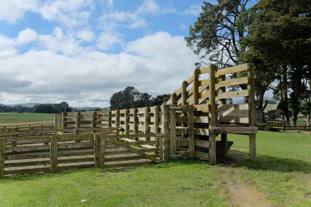 63 Hamilton Road Dannevirke_2