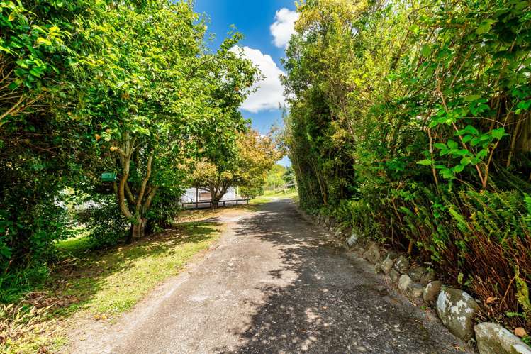 19 Chorley Ave Massey_9