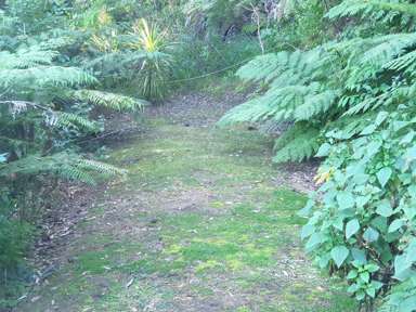 498 Wyuna Bay Road_3