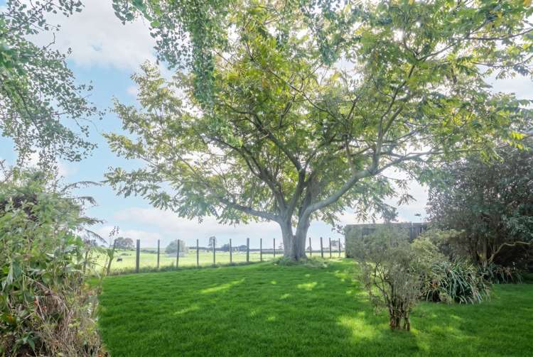 16 Goodwin Avenue Morrinsville_21