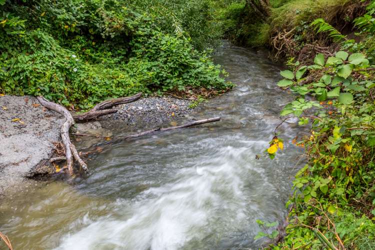 80 Johnston Street Featherston_8