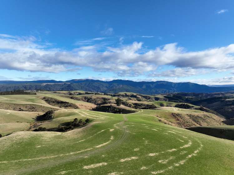 168 Remarkable Road Lawrence_24