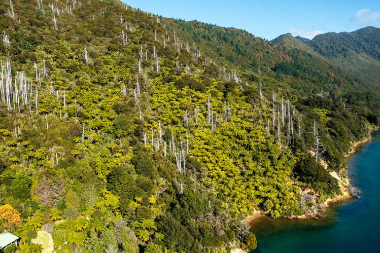 Lot 2 North West Bay Pelorus Sound_16