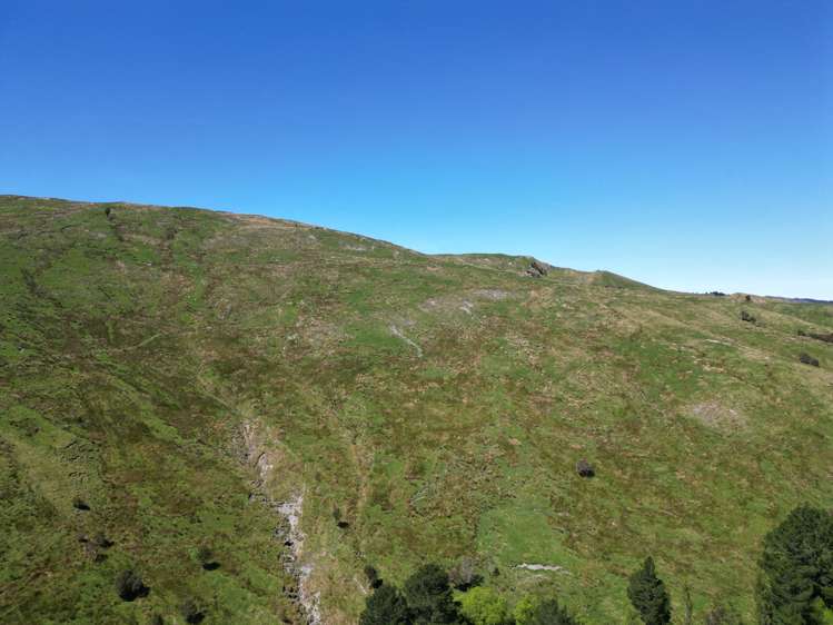 White Rock Road Martinborough_11