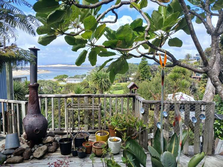 27 Wintle Street Mangawhai Heads_9