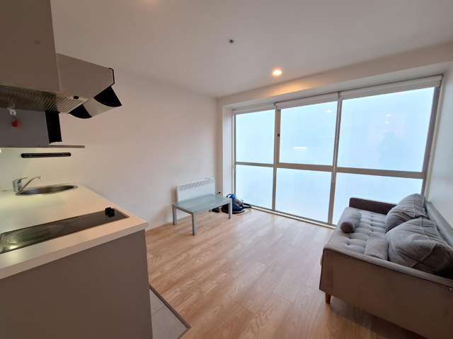 8M/147 Hobson St 10015_2