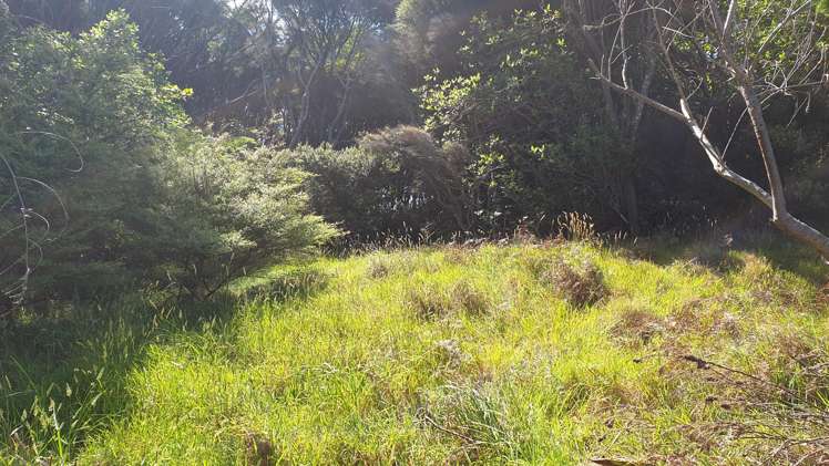 38a Blackwell Drive_5