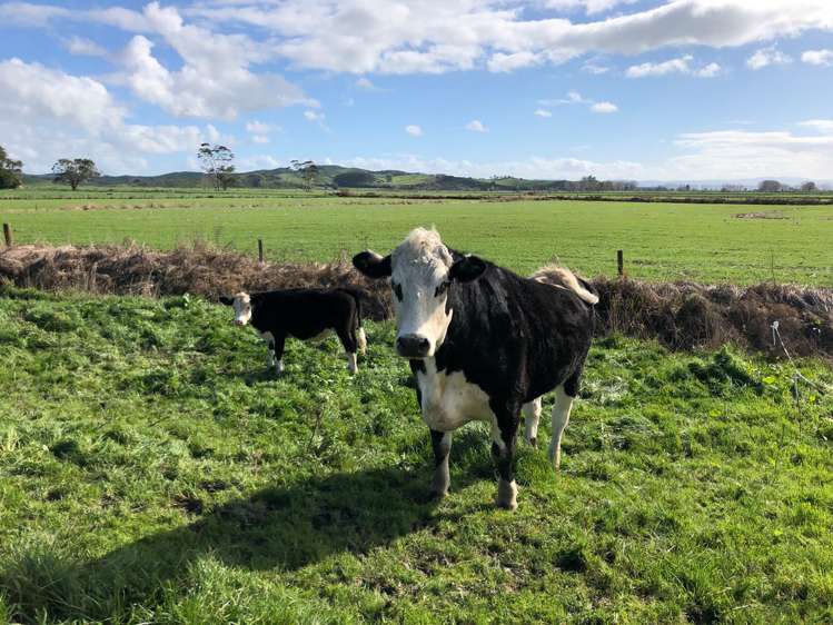 22 Rountree Road Mangatarata_7