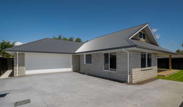 107a Arthur Street Blenheim Central_1