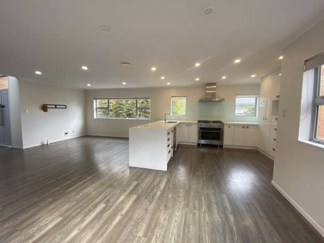 45 Ellis Avenue Mt Roskill_4