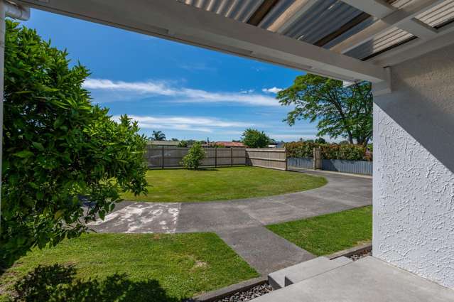 173 Guppy Road Taradale_1