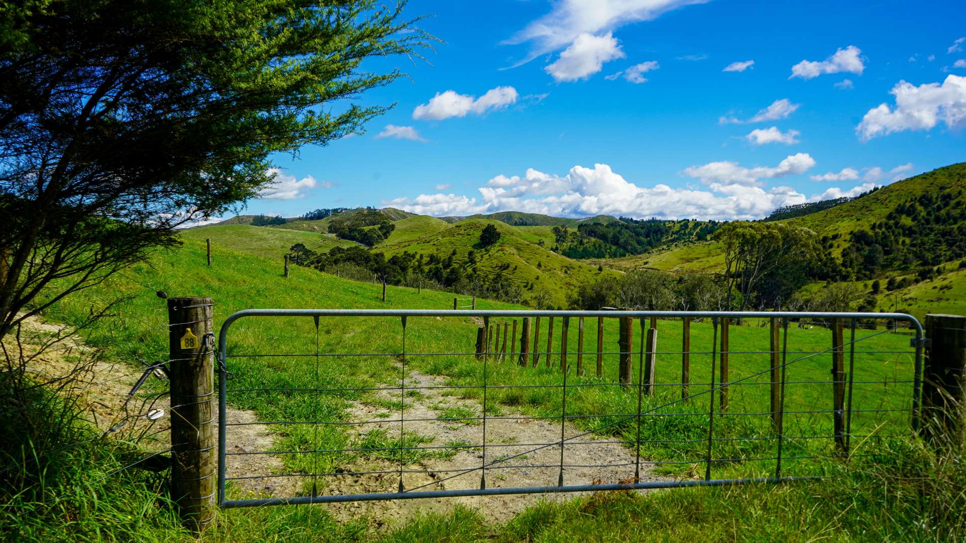 326 Dimmock Road Maramarua_0