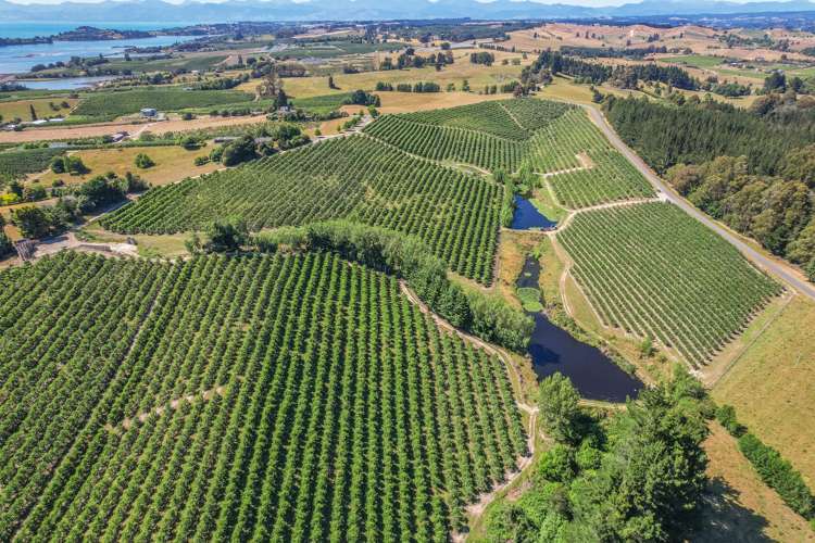 5 Lindup Road Lower Moutere_18