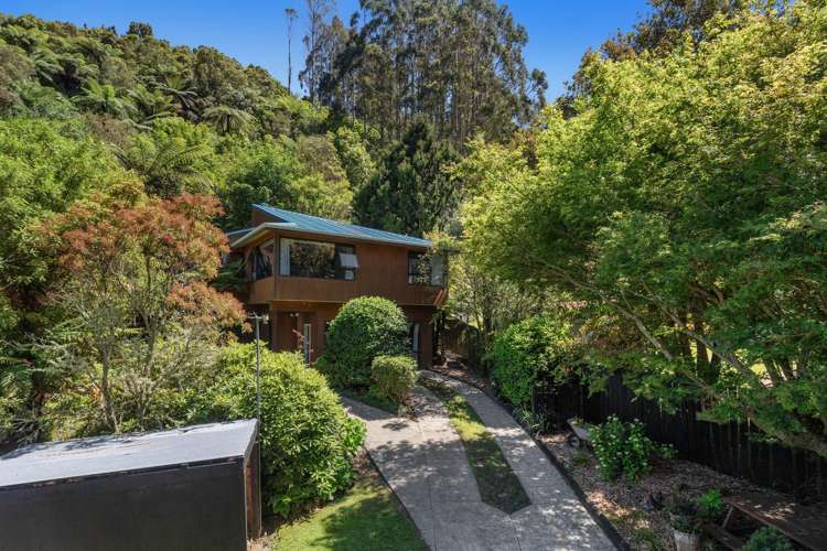 159 Pongakawa Valley Road Lake Rotoehu_4