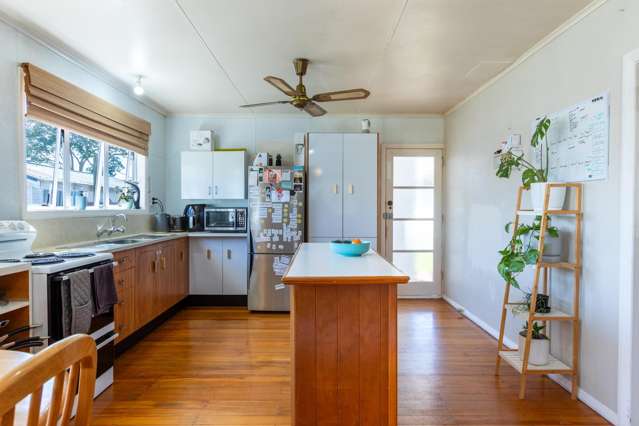 11 Neptune Street Dannevirke_1