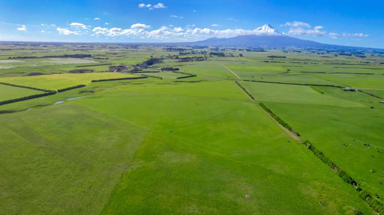 2585 South Road Otakeho_0