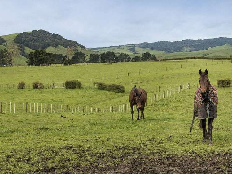 2059 State Highway 2 Maramarua_14