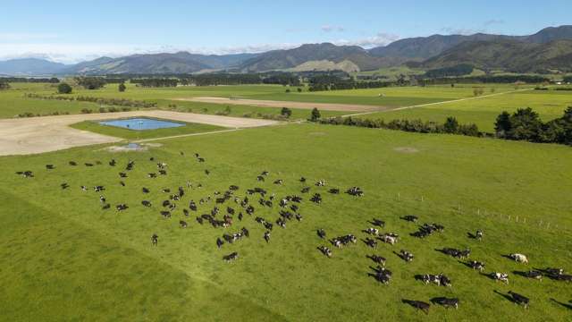 22 Bartons Road Featherston_1