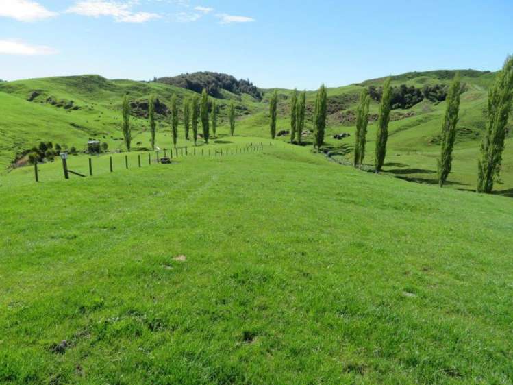 68 Kopaki Road Te Kuiti_19