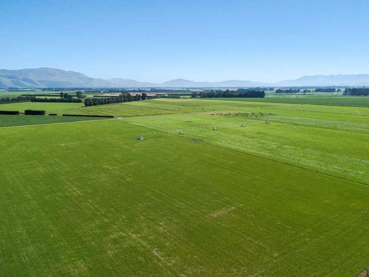 1710 Ealing Montalto Road Ashburton_9