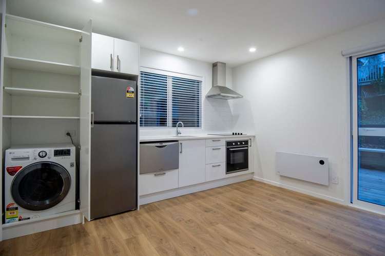 19 Commercial Road Grey Lynn_2