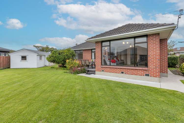 4b Wingate Street Redwood_11