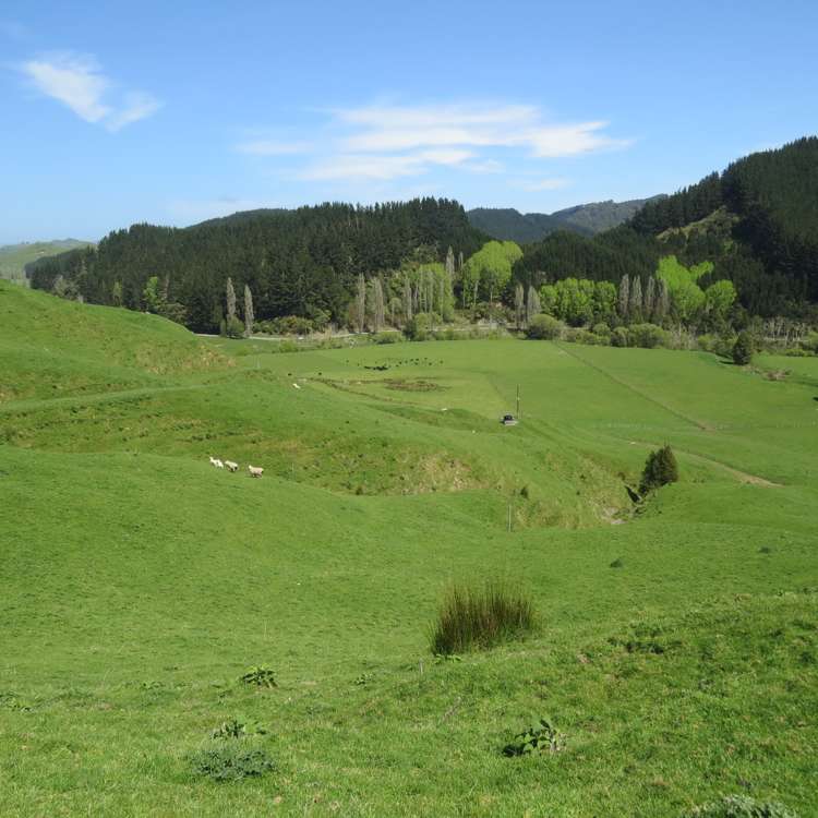 167 Whenuakura Road Waimiha-Ongarue_25