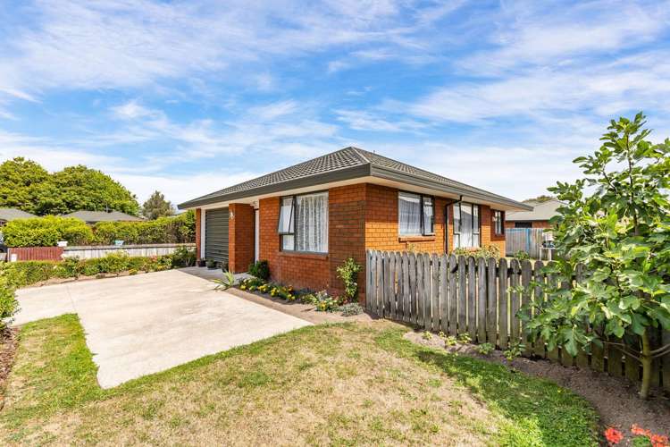 20 Rustic Lane Spreydon_20