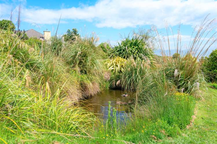 876 Blueskin Road Mount Cargill_31