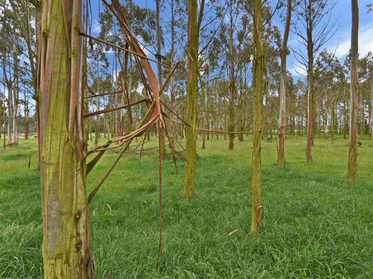 786 Wrights Road Oxford_9