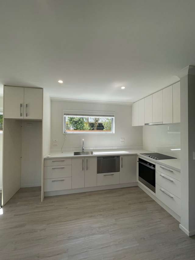 104a Hastings Street West Sydenham_2