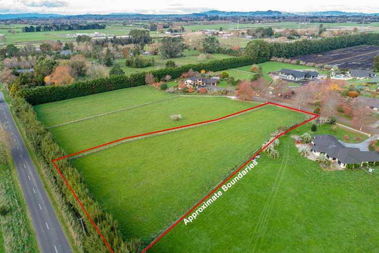 9 Brighton Grove Newstead_10