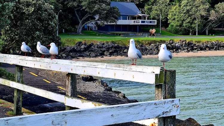 4 TORO PUKE LANE Beachlands_29