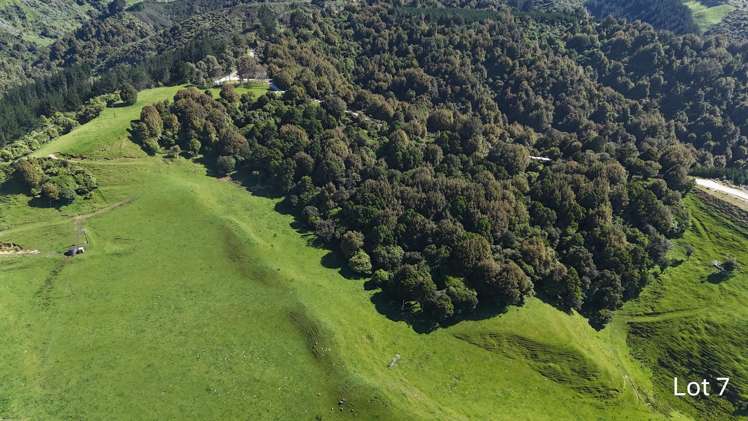 Lot 3 and 7/1005 Rangitatau East Road Kai Iwi_11