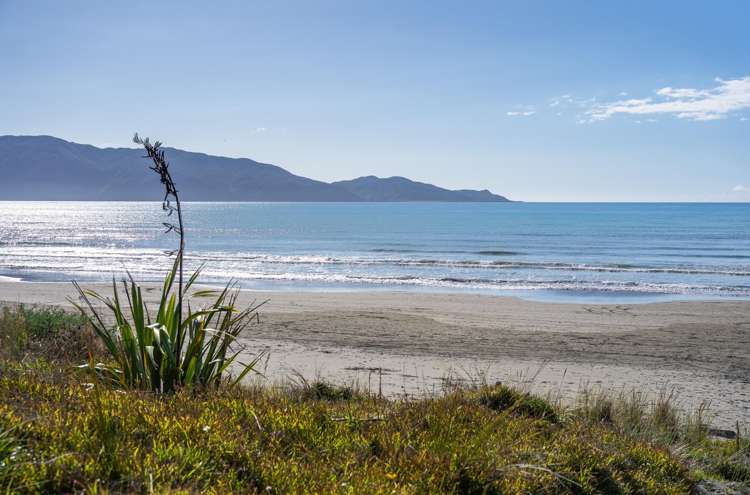 116 Tutere Street Waikanae Beach_19