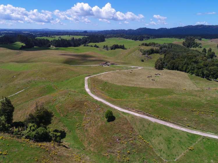 627 South Road Mamaku_24