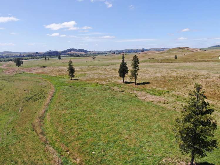 Kahuwera Road Piopio_9