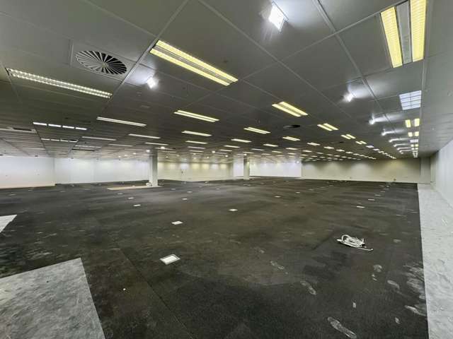 Tenancy 6, 683 Cameron Road Tauranga_4